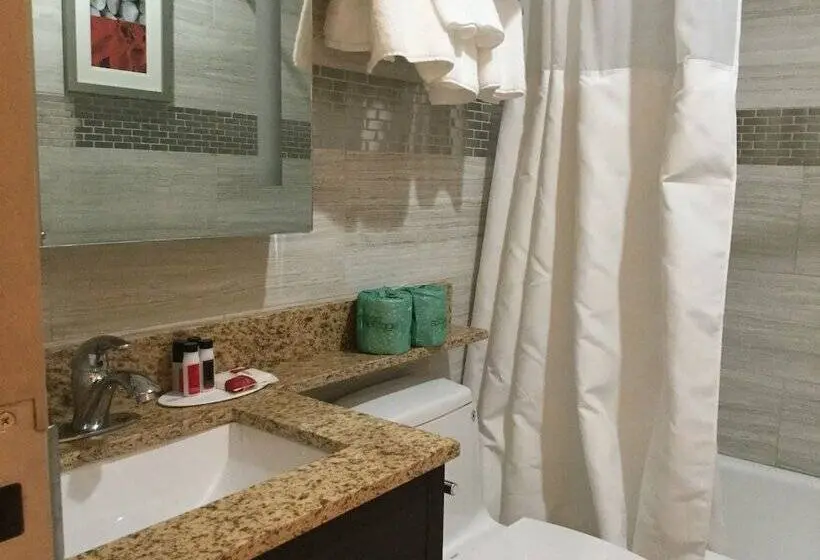 اتاق استاندارد با 2 تخت دوبل, Ramada By Wyndham Bronx Terminal