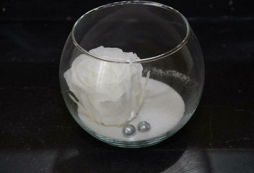 חדר משפחתי, Nostra Demora