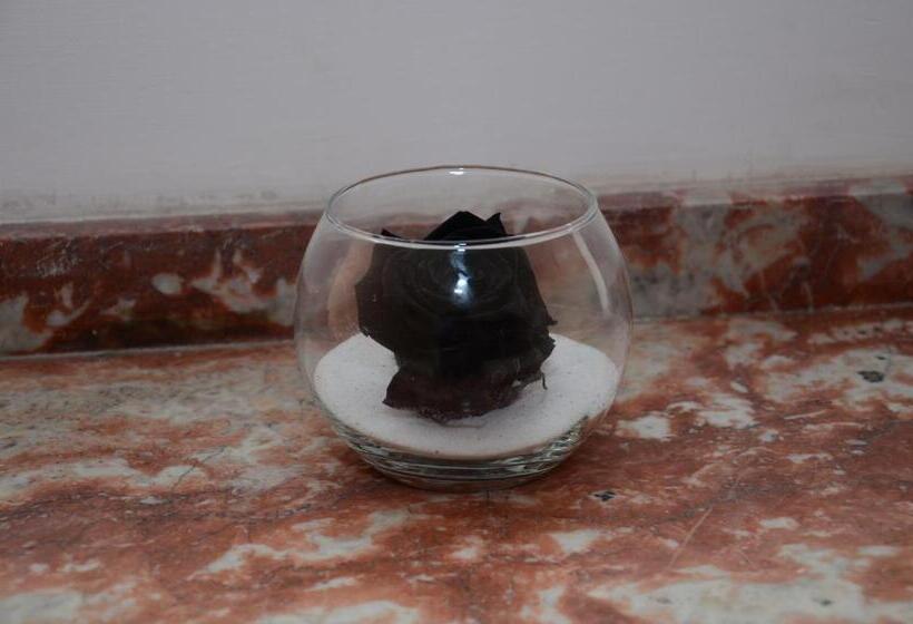 חדר סטנדרט לשלושה, Nostra Demora