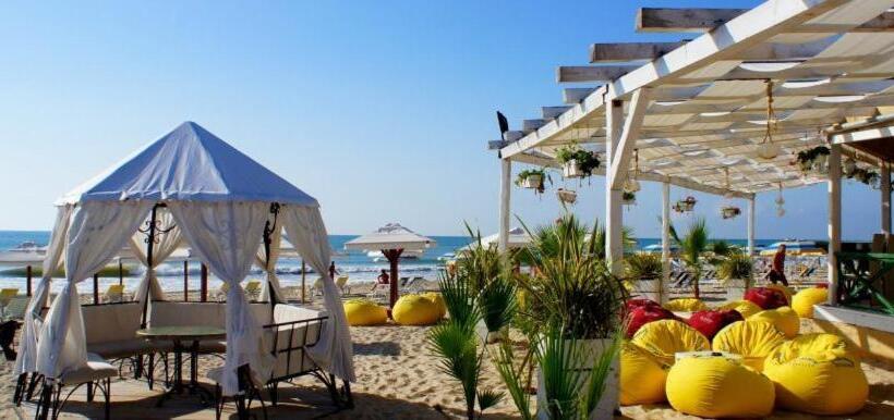 带1个卧室的公寓, Magnific