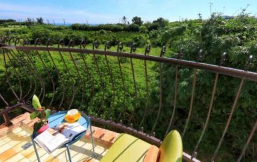 اتاق لوکس با بالکن و چشمانداز دریا, Full Moon Resort