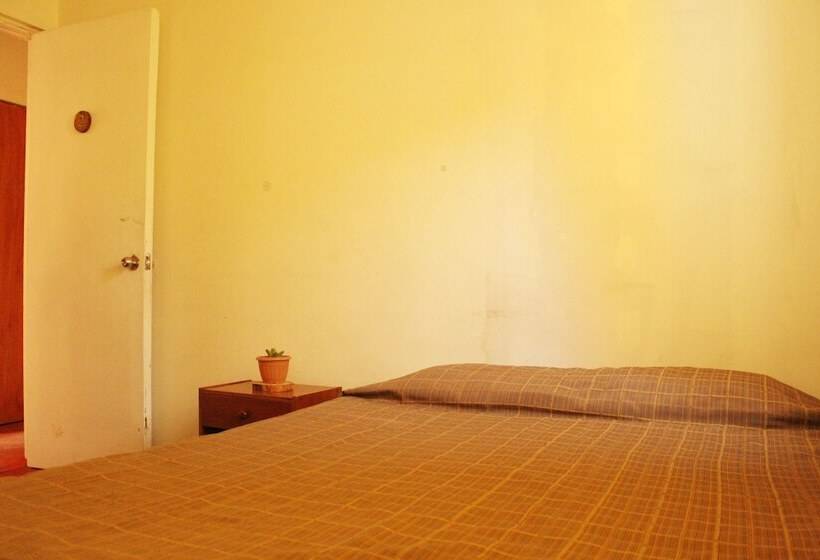 基本间, Hostel La Posada De Gallo