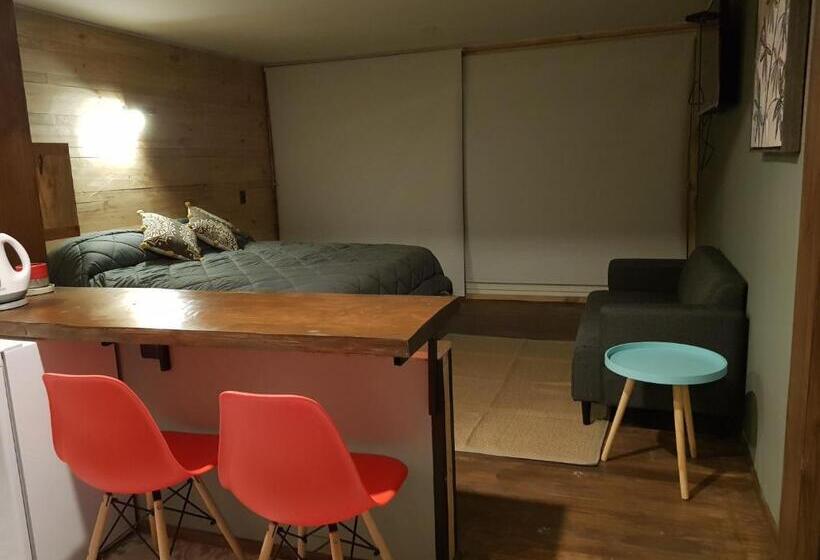 استودیوی استاندارد, Saldemar Playa Hermosa