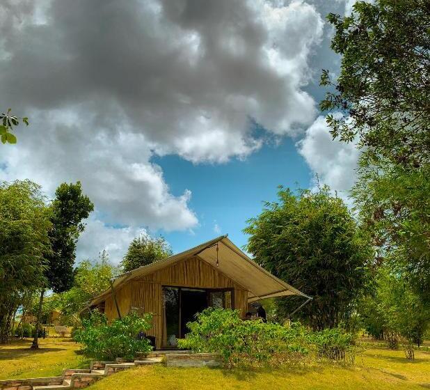 Standard Tent, Dbambookamp Desa Wisata Ekang