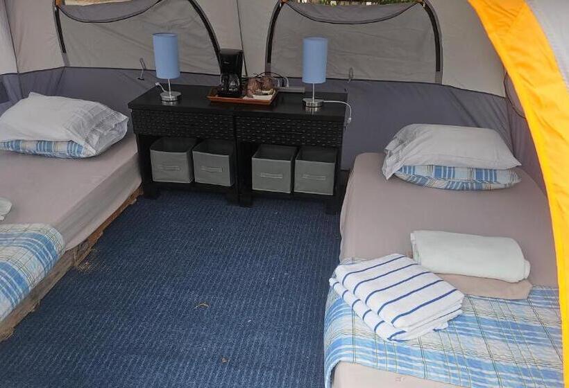 Standard Tent, Sweet Dreams