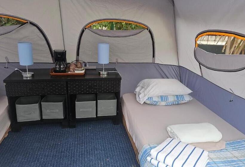 كوخ قياسي, Sweet Dreams