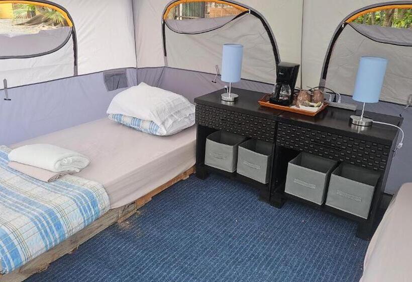 كوخ قياسي, Sweet Dreams