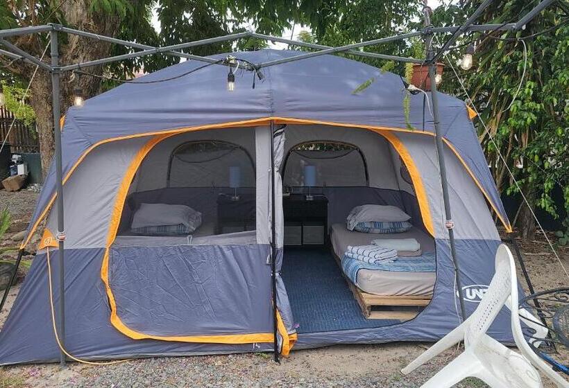 كوخ قياسي, Sweet Dreams