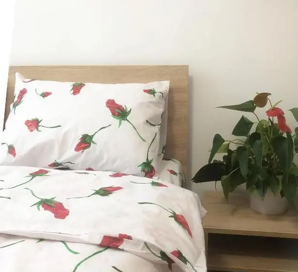 1 Schlafzimmer Deluxe Apartment, Etno Hostel