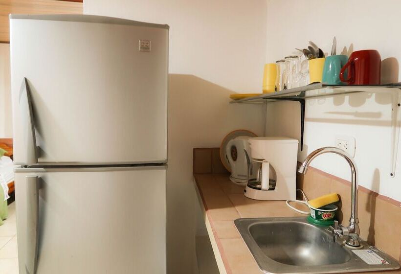 اتاق استاندارد چهار تخته, Hoja De Oro Corcovado