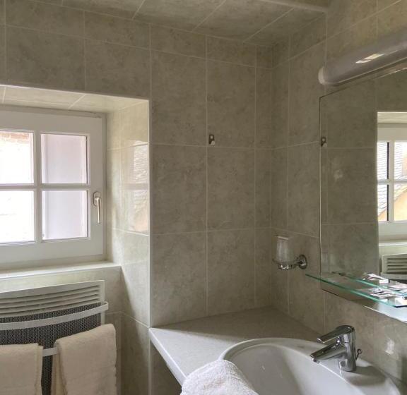 غرفة قياسية, Le Saintetienne