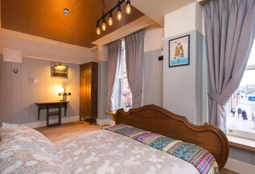 اتاق استاندارد, Mcgettigan S Townhouse Olives & Figs Bistro