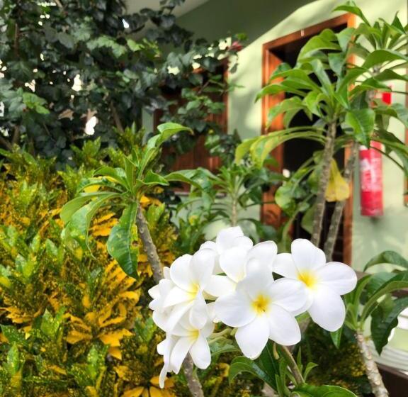 آپارتمان سوپریور 1 خوابه, Pousada Lagoa Flat