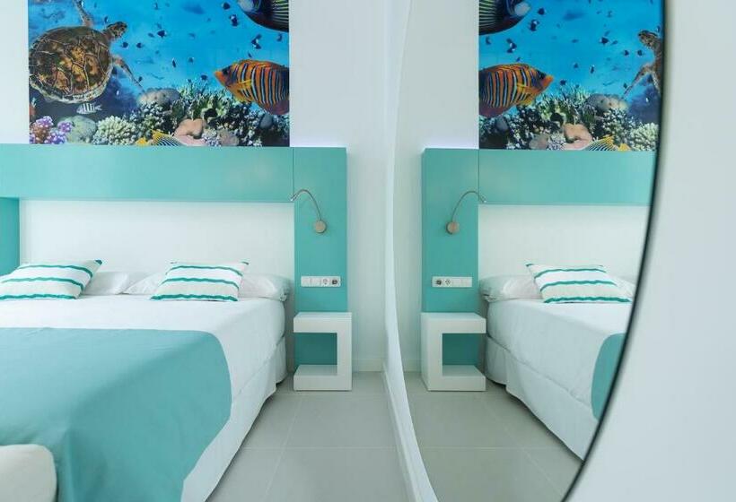 스위트, Hd Acuario Lifestyle