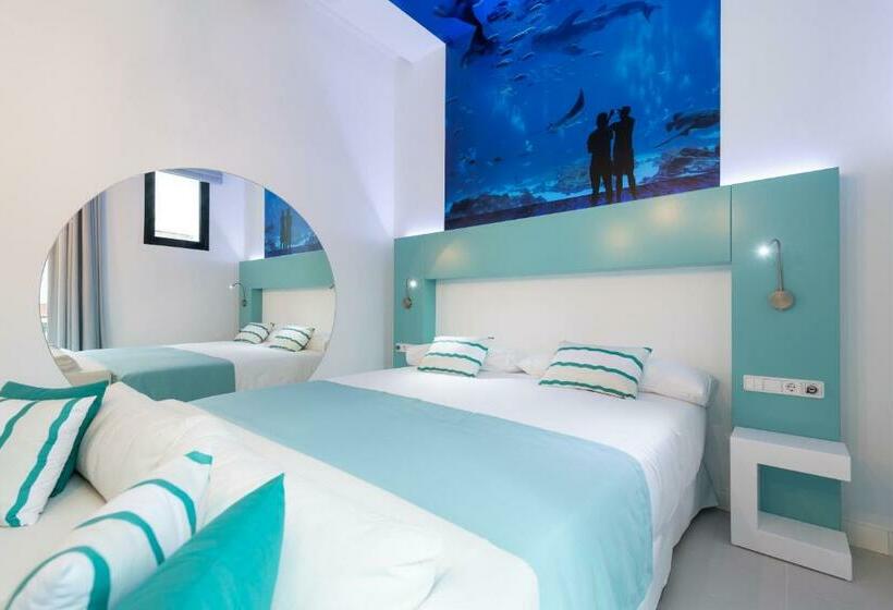 スタンダードルーム, Hd Acuario Lifestyle