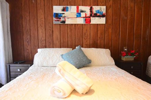 اتاق خانوادگی, Complejo Molco Sur Con Piscina