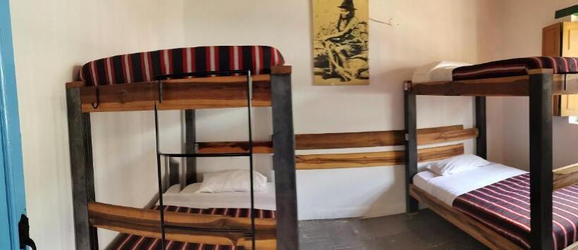 ルームシェアのワンベッド, Hostel Once Once