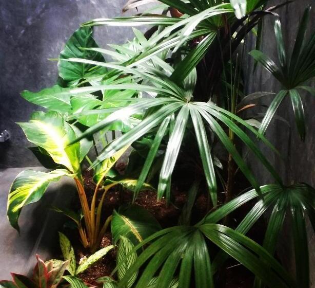 标准间, Chez Podi Surf Stay