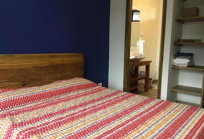 带1个卧室的高级公寓, La Caracola