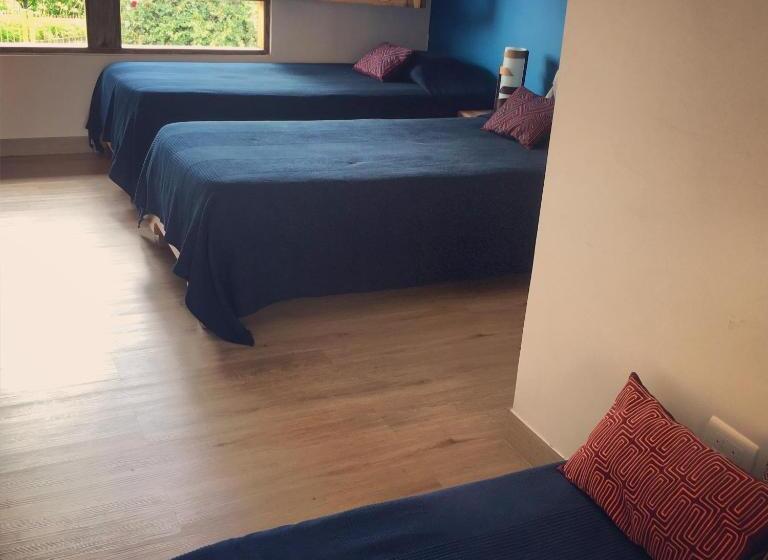 豪华三人间, La Caracola