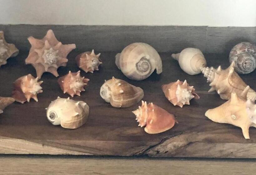 شقة سوبريور غرفة واحدة, La Caracola