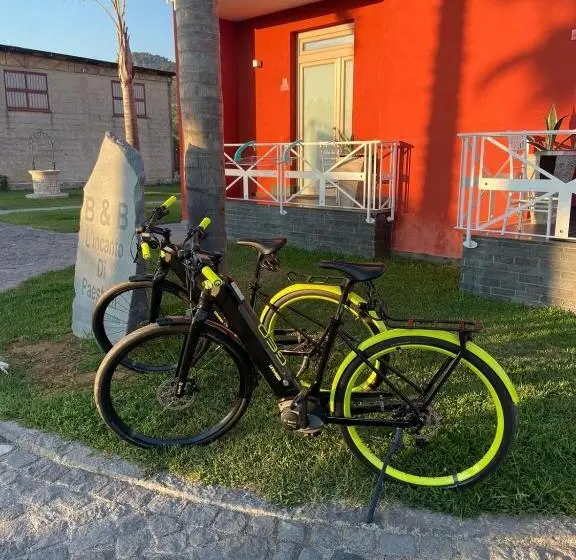استودیو خانوادگی, L'incanto Di Paestum