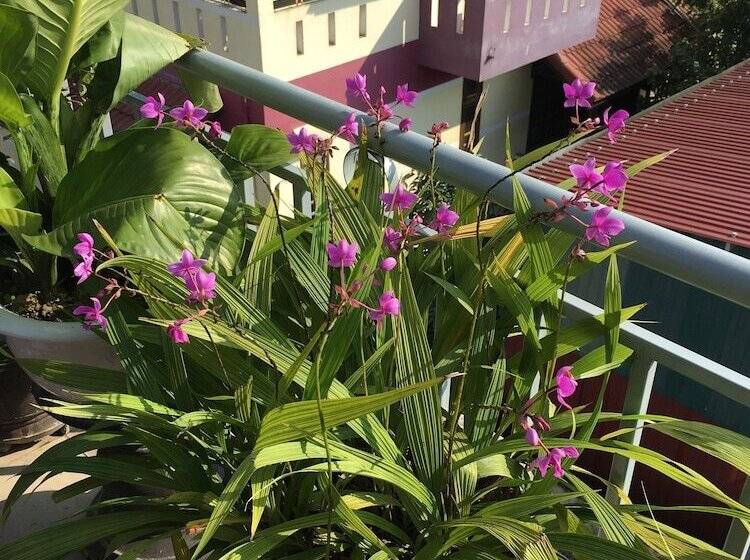 تختخواب در اتاق مشترک, Maily Hostel