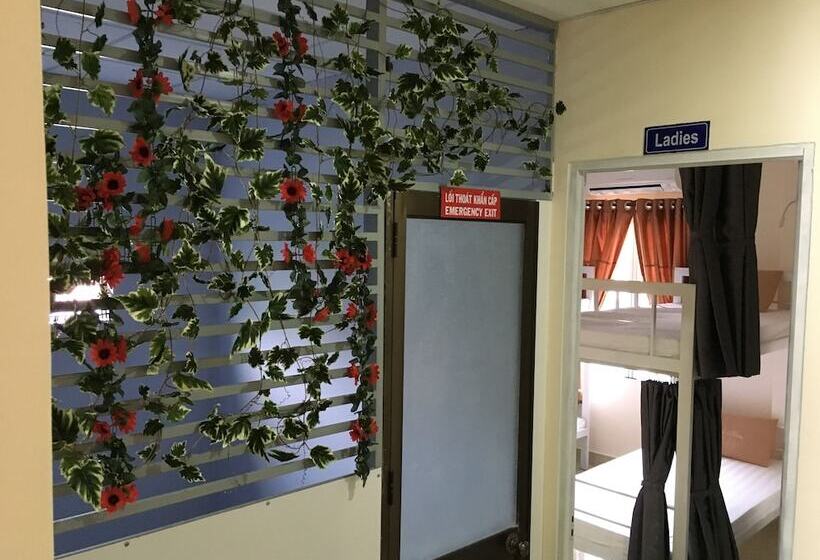 تختخواب در اتاق مشترک, Maily Hostel