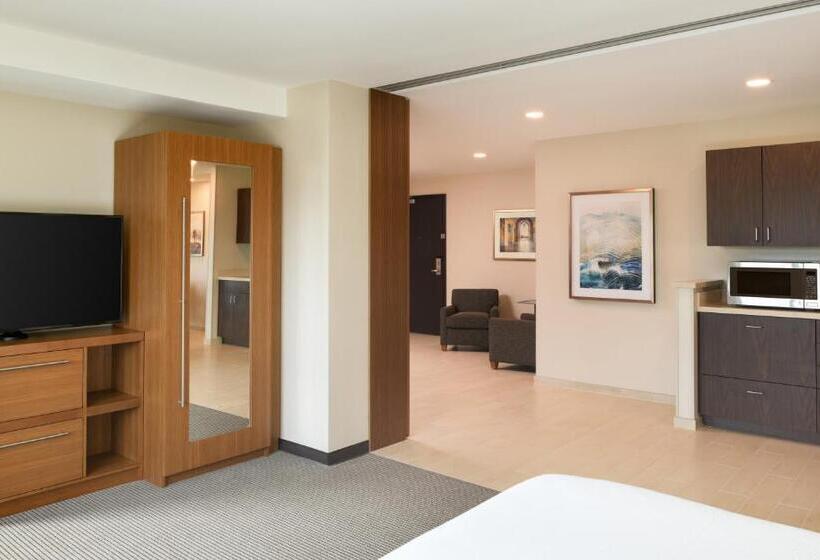 جناح سرير كينج, Hyatt Place Pasadena