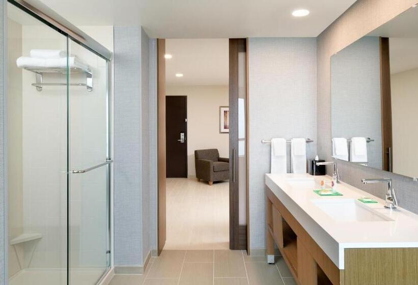 带大床的套房, Hyatt Place Pasadena