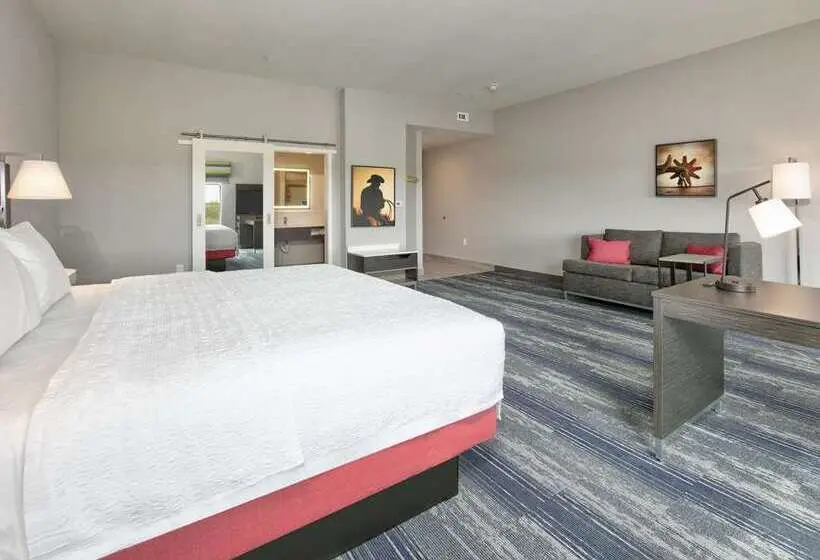 キングサイズベッドのスタンダードルーム, Hampton Inn & Suites Snellville Atlanta Ne