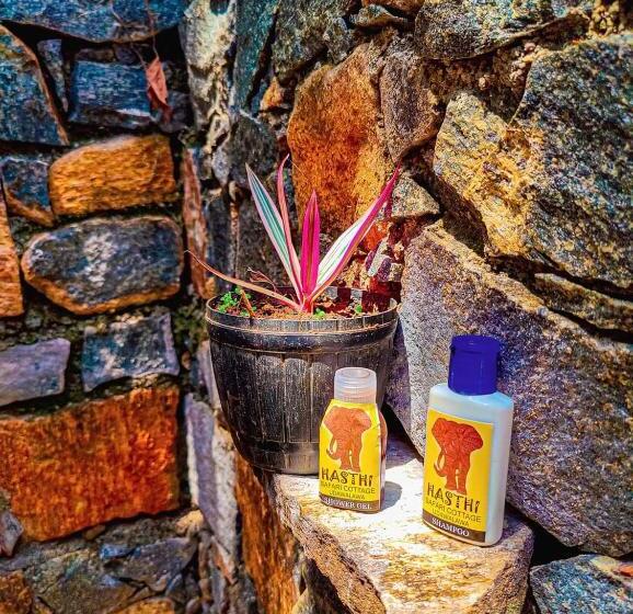 Номер Стандарт Вид на Сад, Hasthi Safari Cottage