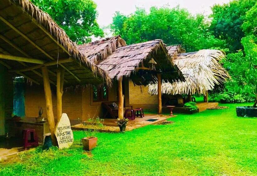 Номер Deluxe, Hasthi Safari Cottage