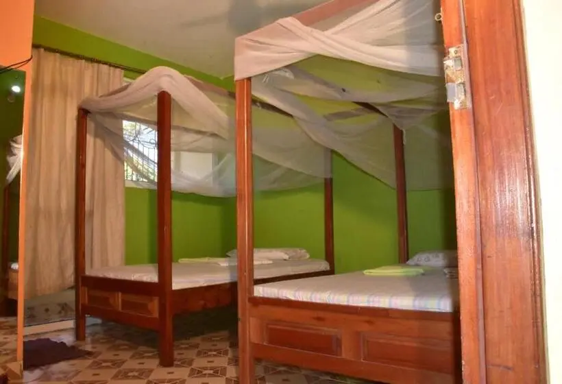 اتاق خانوادگی, Viriko Boarding House