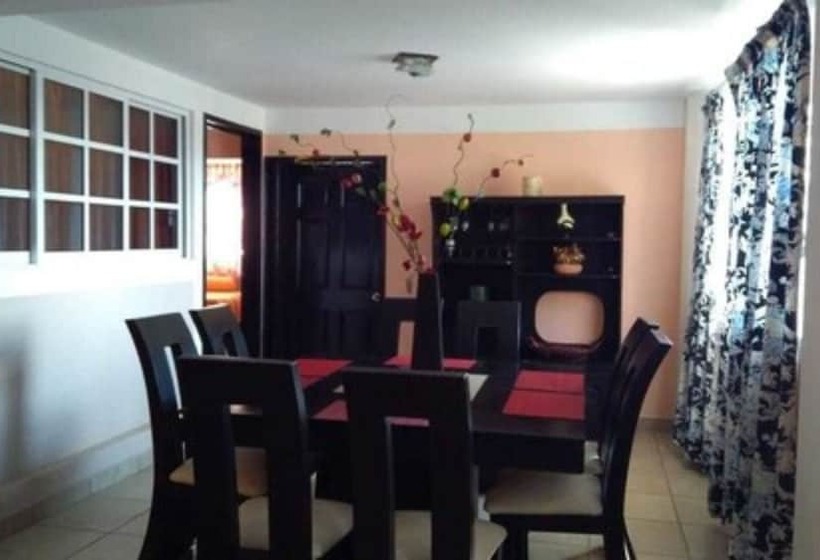 １ベッドルームアパートメント, Villa Victoria Pirámides