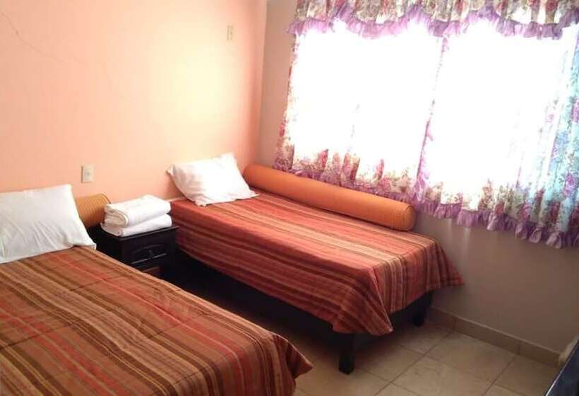 １ベッドルームアパートメント, Villa Victoria Pirámides