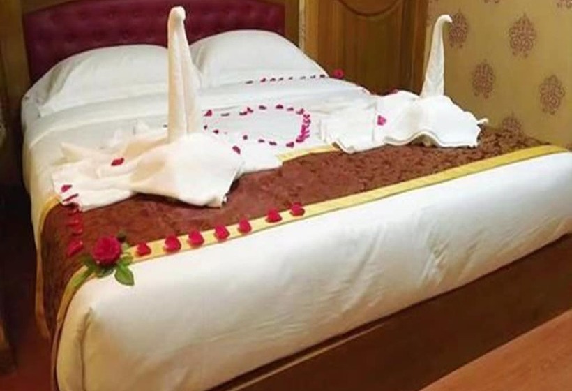 اتاق استاندارد, C & Y