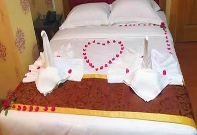 اتاق استاندارد, C & Y