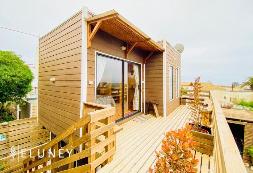 テラス付き１ベッドルームアパートメント, Eluney Pichilemu