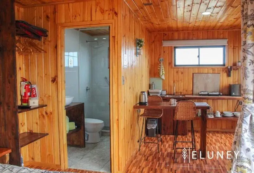 آپارتمان 1 خوابه با تراس, Eluney Pichilemu