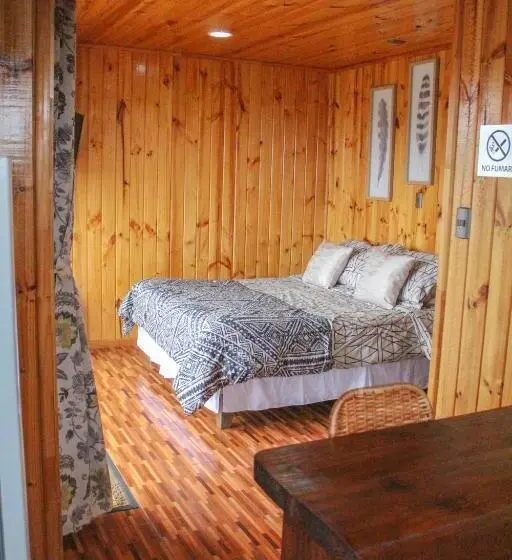 آپارتمان 1 خوابه با تراس, Eluney Pichilemu