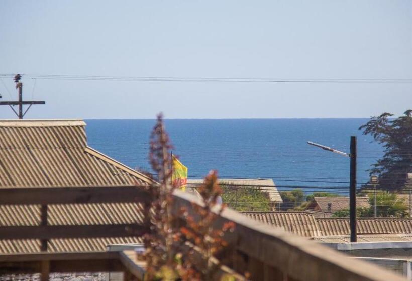 テラス付き１ベッドルームアパートメント, Eluney Pichilemu