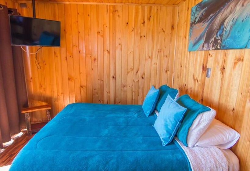 テラス付き１ベッドルームアパートメント, Eluney Pichilemu