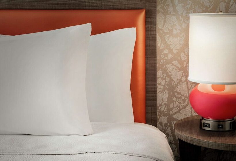 Suite Tilpasset til Handicappede, Home2 Suites By Hilton Silver Spring