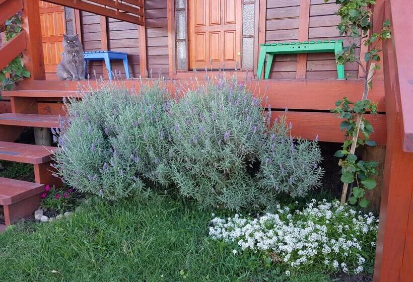 Люкс с Террасой, Posada Las Maravillas