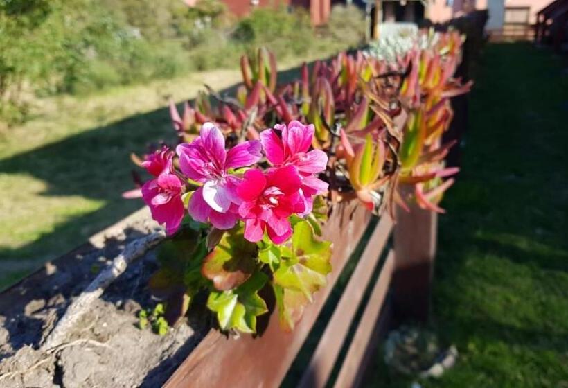 Люкс с Террасой, Posada Las Maravillas