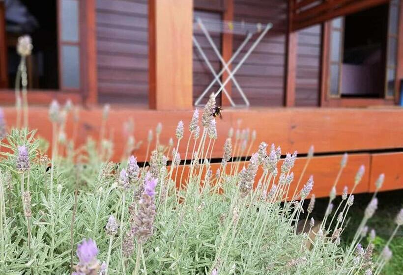 Люкс с Балконом, Posada Las Maravillas