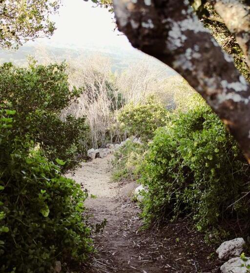 كوخ بريميوم, Seeplaas Guesthouse