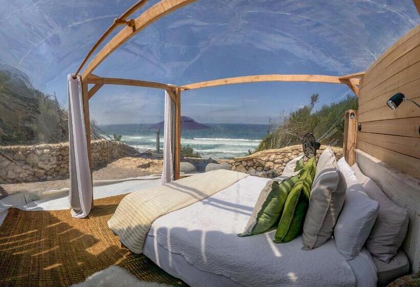 كوخ بريميوم, Seeplaas Guesthouse