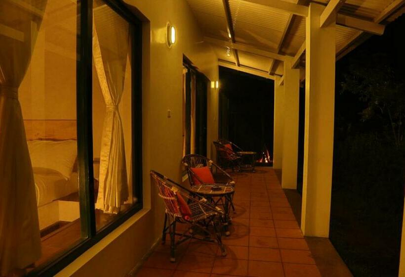 חדר דלוקס, The Tamarillo